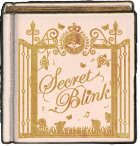 Secret Blink 秘密のまばたき